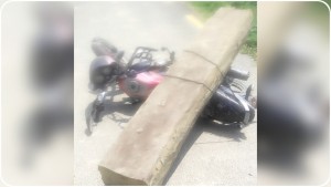 तस्करीको काठसहित पर्सामा एक युवक पक्राउ