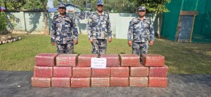 सशस्त्र प्रहरी बल पर्साद्धारा २ सय १३ किलो गाँजा बरामद