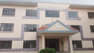 नेपाल पत्रकार महासंघको आज ७१ औं स्थापना दिवस, विभिन्न कार्यक्रम गरि मनाईदै