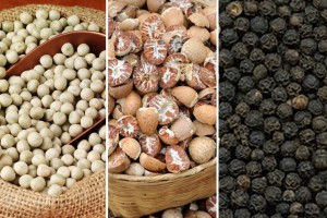 खाद्य उद्योगलाई कच्चापदार्थ अभाव : उद्योगीले गरे केराउ-मरिच आयात खुलाउन माग