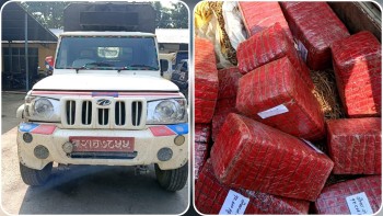 १७६ किलो लागुऔषध गाँजासहित पिकअप चालक पक्राउ