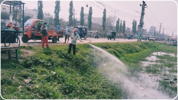 वीरगंज महानगरद्वारा लामखुट्टे नियन्त्रण अभियान सुरु