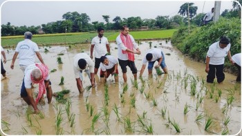 वीरगन्ज महानगरको आयोजनामा २३ औँ राष्ट्रिय धान दिवस तथा रोपाइँ कार्यक्रम सम्पन्न