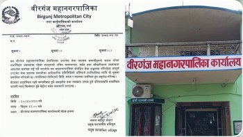 अव्यवस्थित तार व्यवस्थापनमा जुट्यो वीरगञ्ज महानगर, इन्टरनेट सेवा प्रदायकलाई छलफलमा बोलाइयो