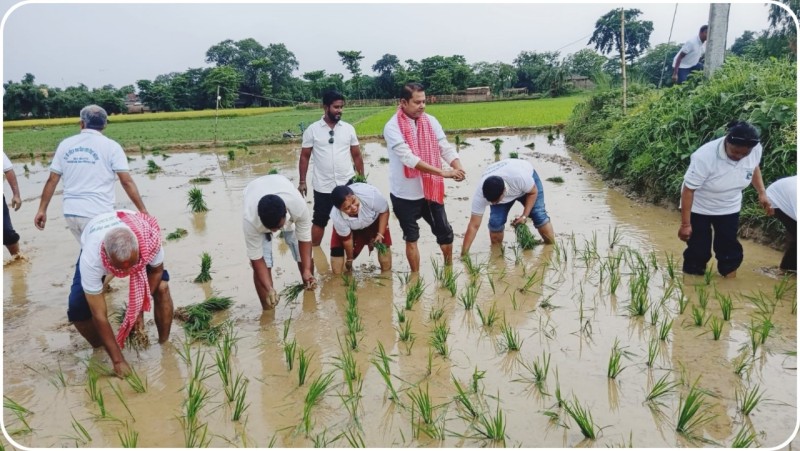 वीरगन्ज महानगरको आयोजनामा २३ औँ राष्ट्रिय धान दिवस तथा रोपाइँ कार्यक्रम सम्पन्न